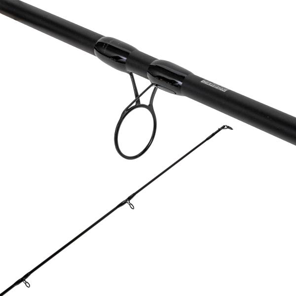 Trophy Eel
