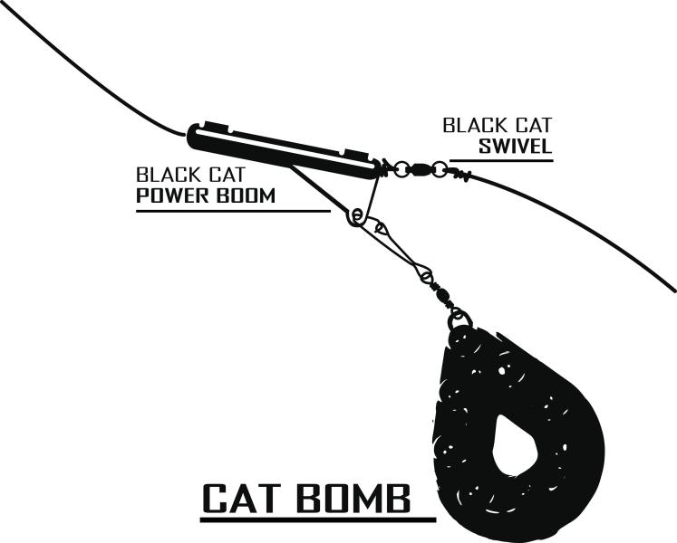 Illustration image