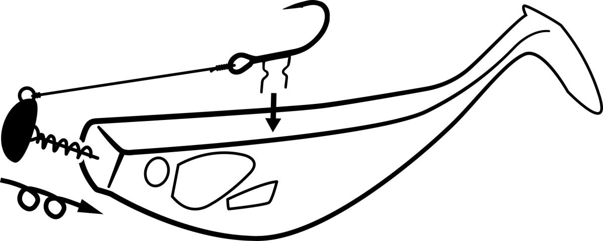 Illustration image