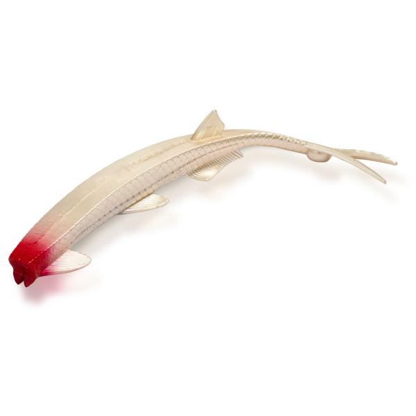 Cat Pelagic