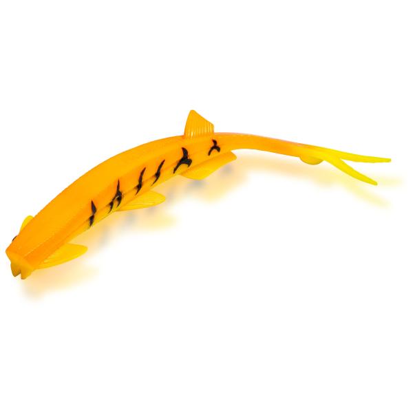 Cat Pelagic