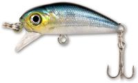 sardine