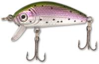 rainbow trout