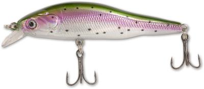 rainbow trout