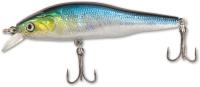 sardine