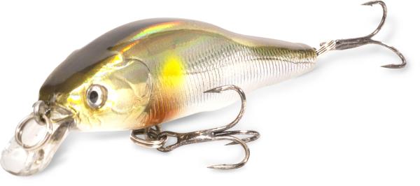 Gitec Zander