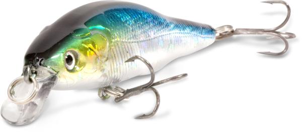 Gitec Zander