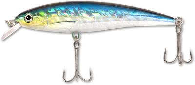 sardine