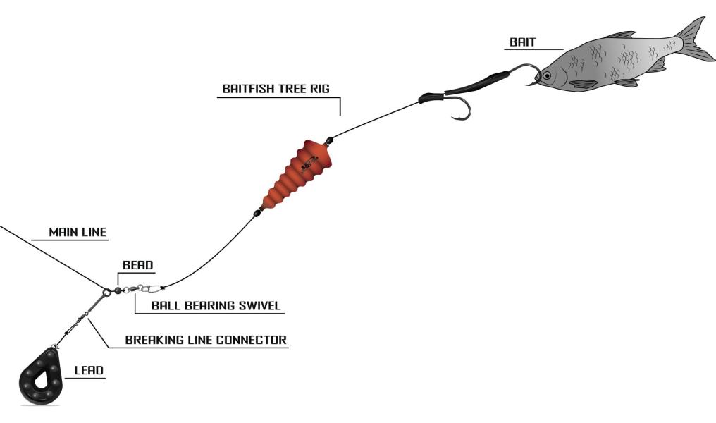 Illustration image