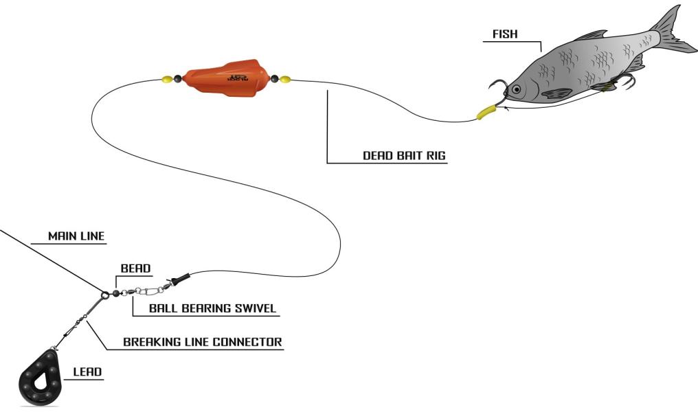 Illustration image