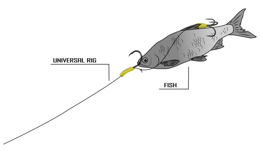 Illustration image