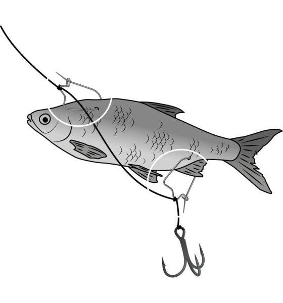 Illustration image