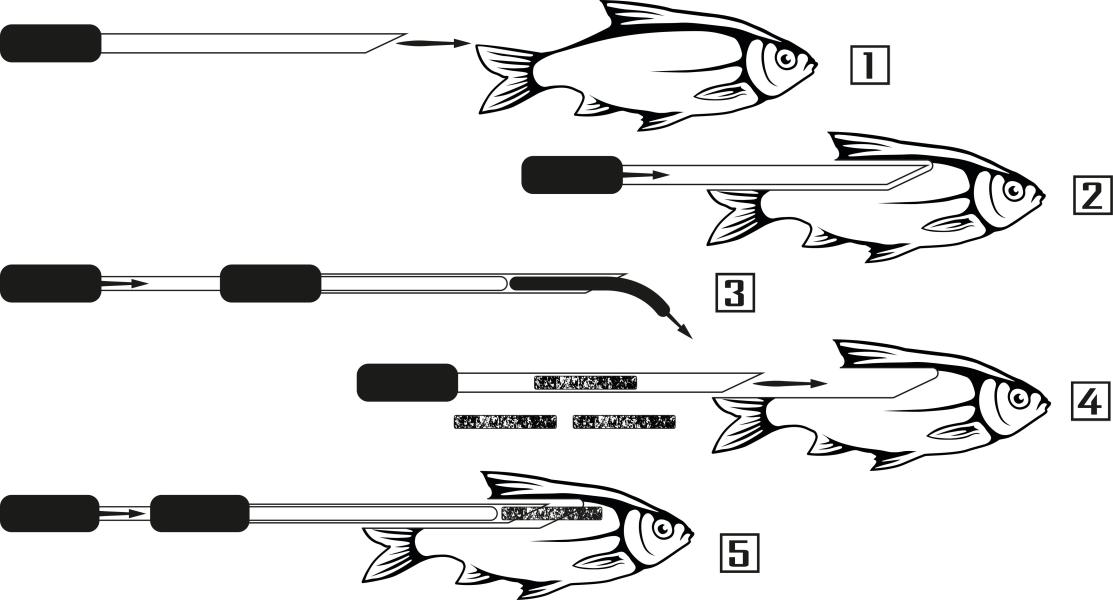 Illustration image