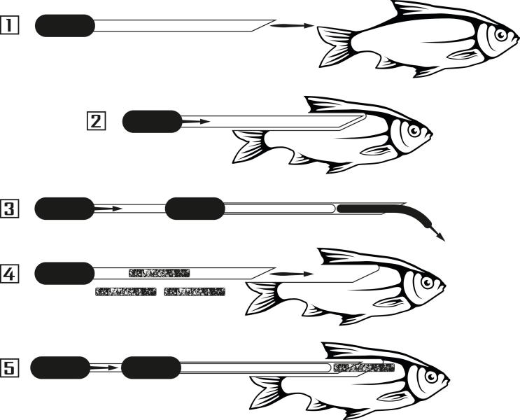 Illustration image
